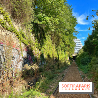 Balade sur la Petite Ceinture du 14 au 16e arrondissement : un sentier nature dépaysant