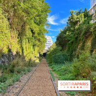 Balade sur la Petite Ceinture du 14 au 16e arrondissement : un sentier nature dépaysant