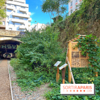 Balade sur la Petite Ceinture du 14 au 16e arrondissement : un sentier nature dépaysant
