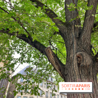 6 anecdotes ésotériques et mystérieuses autour de monuments parisiens