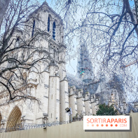 Visuels Paris - Notre-Dame de Paris
