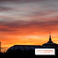 Visuels Paris - Grand Palais - Coucher de soleil