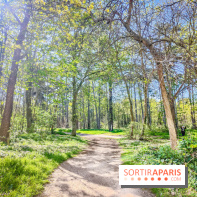 Visuels Paris - forêt bois de Boulogne nature soleil printemps