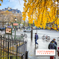 Visuels Paris - métro automne arbre