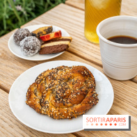 Les appartements de l’Institut Suédois 