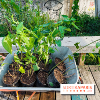 Bercy Beaucoup à Paris