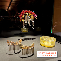 Exposition Frida Kahlo