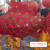 Défilé du Nouvel an Chinois 2013 à Paris 13e