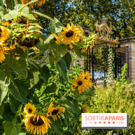 Le Potager du Roi de Versailles, Journées du Patrimoine 