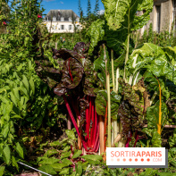 Le Potager du Roi de Versailles, Journées du Patrimoine 