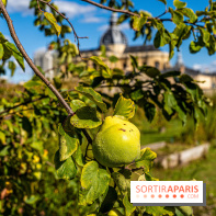 Le Potager du Roi de Versailles, Journées du Patrimoine 