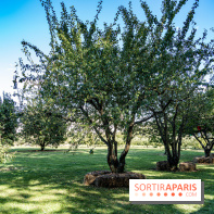 Le Potager du Roi de Versailles, Journées du Patrimoine 