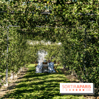 Le Potager du Roi de Versailles, Journées du Patrimoine 