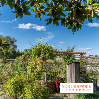 Le Potager du Roi de Versailles, Journées du Patrimoine 