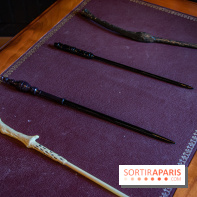 La Manufacture Arribas, souffleur de verre officiel de Disneyland Paris, vous ouvre ses portes