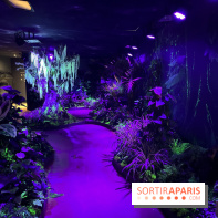 Forêt Bioluminescente - Serre Papillons