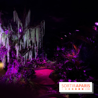 Forêt Bioluminescente - Serre Papillons