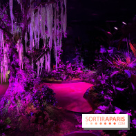 Forêt Bioluminescente - Serre Papillons