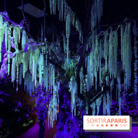 Forêt Bioluminescente - Serre Papillons