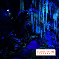 Forêt Bioluminescente - Serre Papillons