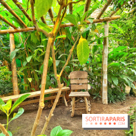 Serre Papillons - La Queue-lez-Yvelines