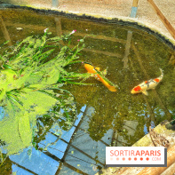 Serre Papillons - La Queue-lez-Yvelines