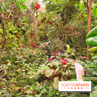 Serre Papillons - La Queue-lez-Yvelines