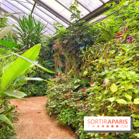 Serre Papillons - La Queue-lez-Yvelines