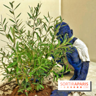 Le Chant des Forêts, l'exposition sensible et gratuite du Maif Social Club