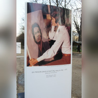 "Clint Eastwood : le cinéma en liberté"