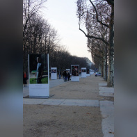 "Clint Eastwood : le cinéma en liberté"