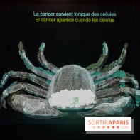 Cancers cité des sciences et de l'industrie