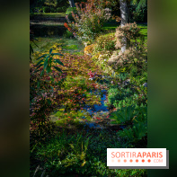 Le Jardin japonais du Château de Courances