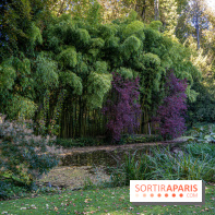 Parc et Domaine du Château de Courances