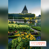Le Château de Villandry et ses jardins