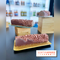 Bûches de Noël 2022 Jérémy Delval Dalloyau