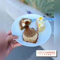 Bûches de Noël 2022 Jérémy Delval Dalloyau