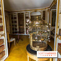 Les appartements de Madame Du Barry restaurés au Château de Versailles - bibliothèque