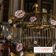 Les appartements de Madame Du Barry restaurés au Château de Versailles - bibliothèque