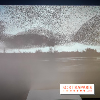 Foules, l'exposition interactive de la Cité des Sciences et de l'Industrie - nos photos