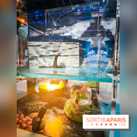 Foules, l'exposition interactive de la Cité des Sciences et de l'Industrie - nos photos