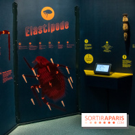 Mini-monstres, nos photos de l'exposition à la galerie de Géologie du Muséum d'Histoire naturelle