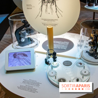 Mini-monstres, nos photos de l'exposition à la galerie de Géologie du Muséum d'Histoire naturelle