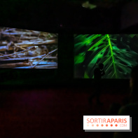 Exposition au Palais de Tokyo : Shéhérazade, la nuit - nos photos