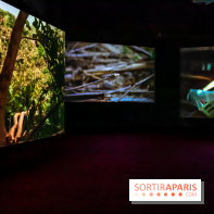 Exposition au Palais de Tokyo : Shéhérazade, la nuit - nos photos