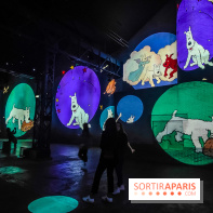 Tintin, l'aventure immersive à l'Atelier des Lumières : l'exposition insolite à vivre - nos photos