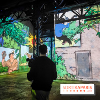 Tintin, l'aventure immersive à l'Atelier des Lumières : l'exposition insolite à vivre - nos photos