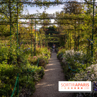 Les Jardins de la Maison Claude Monet à l'automne