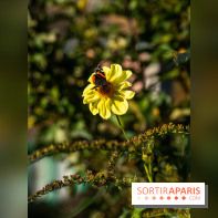 Les Jardins de la Maison Claude Monet à l'automne