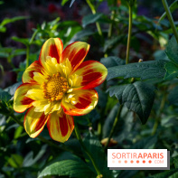 Les Jardins de la Maison Claude Monet à l'automne